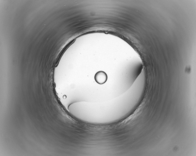 X0000093601369200711121139