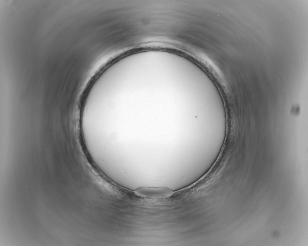 X0000093601376200711121139