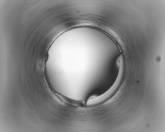 X0000093601377200711121139