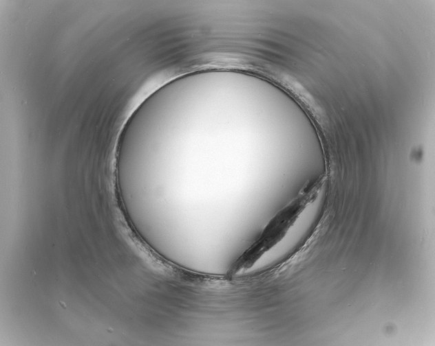 X0000093601378200711121139