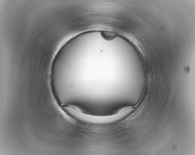 X0000093601379200711121139