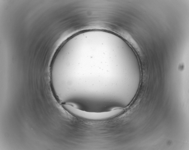 X0000093601380200711121139