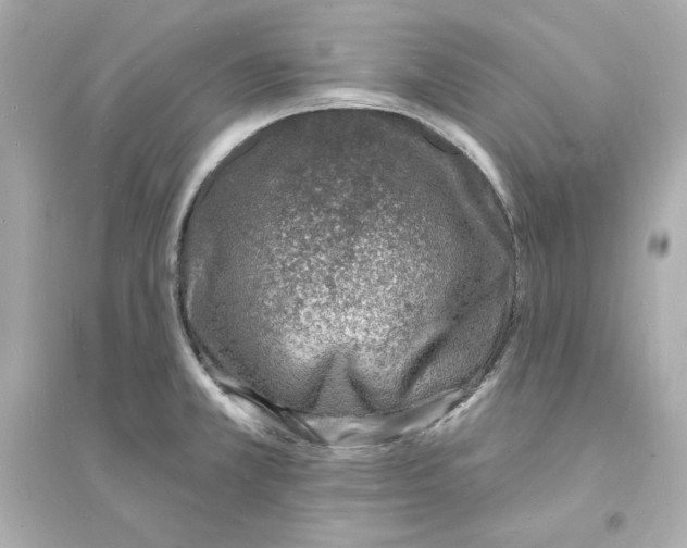 X0000093601381200711121138