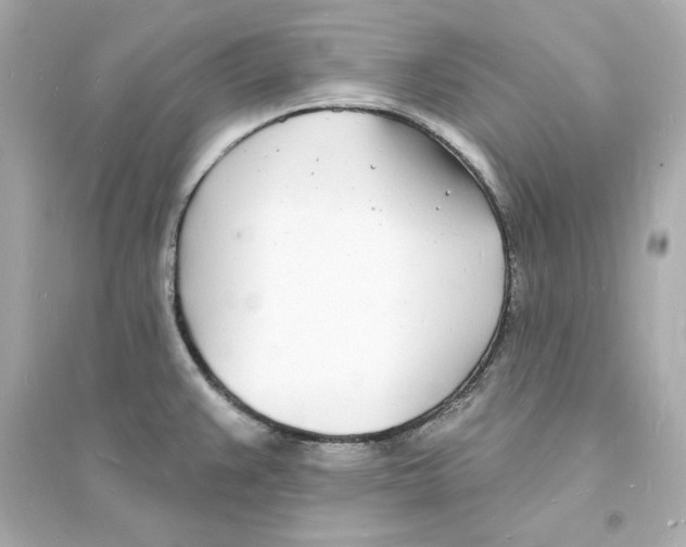 X0000093601383200711121138