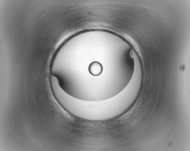 X0000093601384200711121138