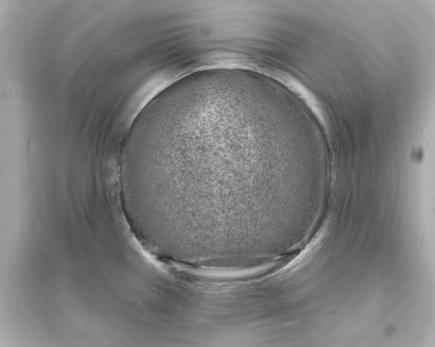 X0000093601385200711121138