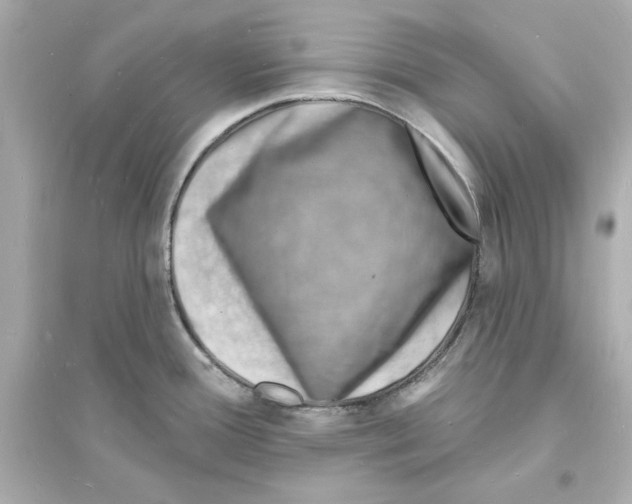 X0000093601388200711121138