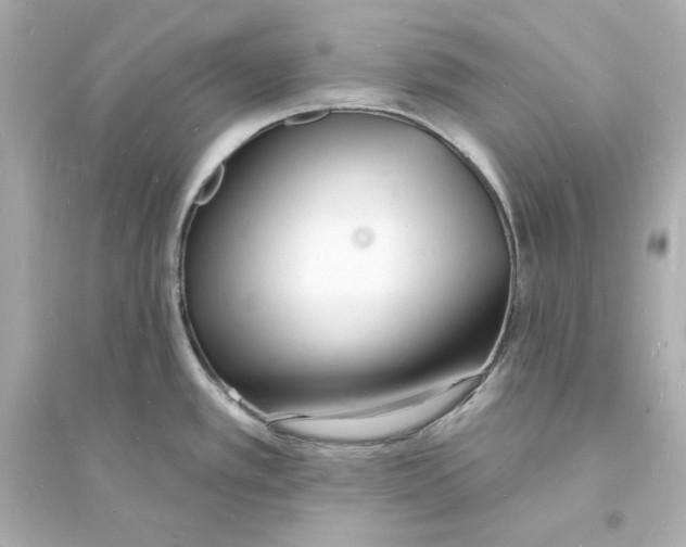 X0000093601389200711121138