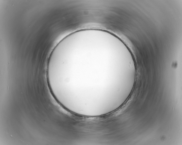 X0000093601390200711121138