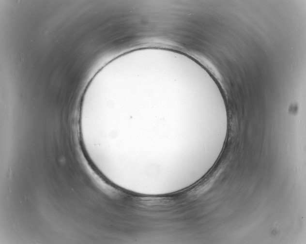 X0000093601391200711121138