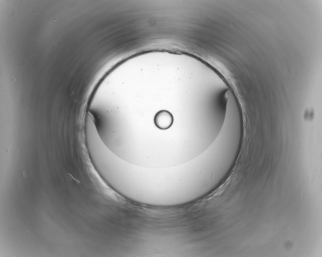 X0000093601392200711121138