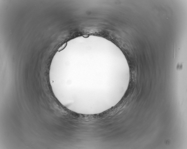 X0000093601393200711121137