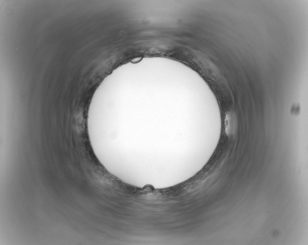 X0000093601395200711121137