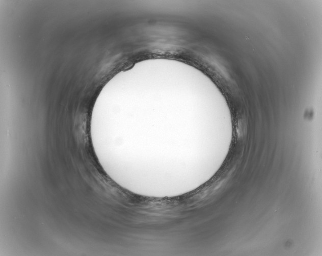 X0000093601396200711121137