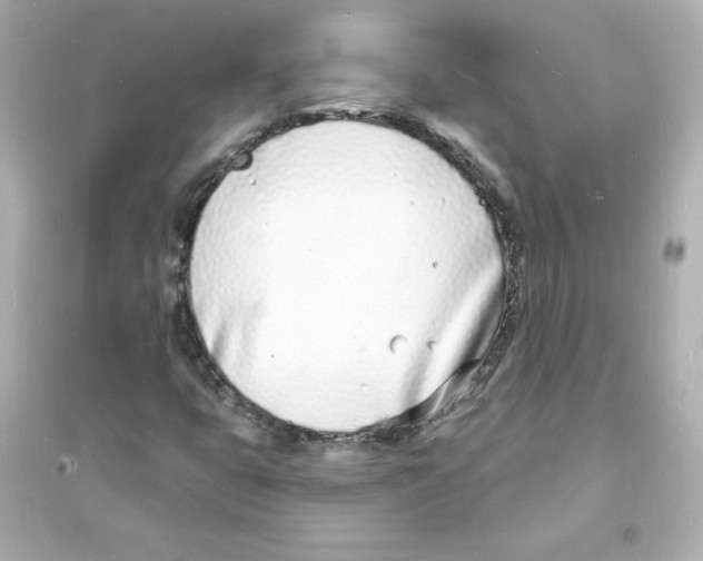 X0000093601399200711121137