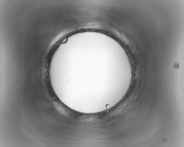 X0000093601400200711121137