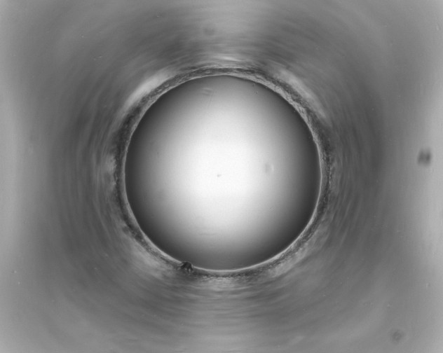 X0000093601402200711121137