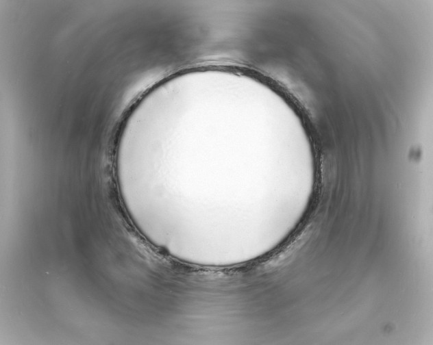 X0000093601405200711121138