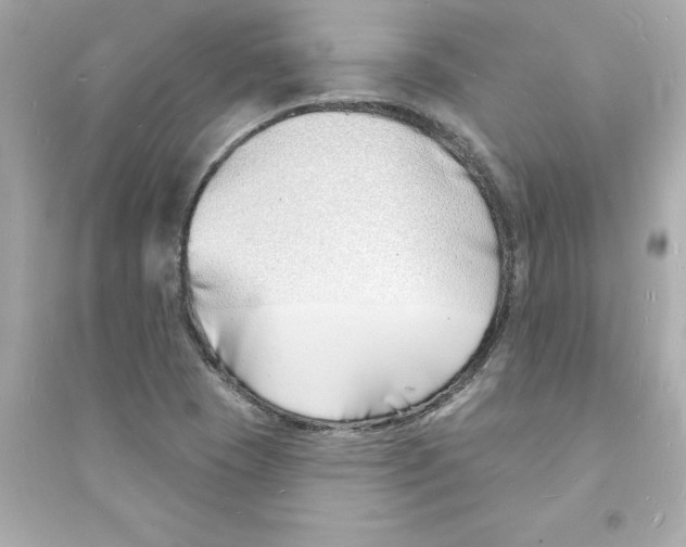 X0000093601409200711121138