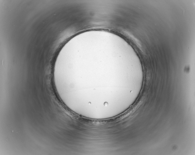 X0000093601411200711121138