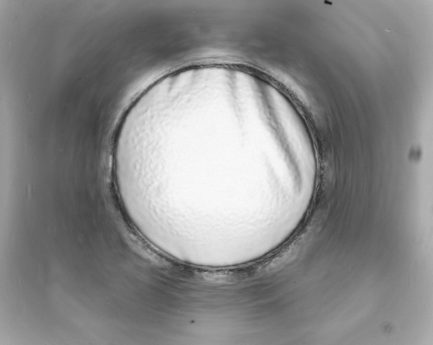 X0000093601413200711121138