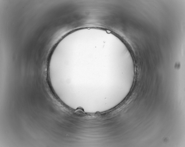 X0000093601415200711121138