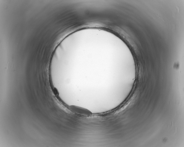 X0000093601417200711121138