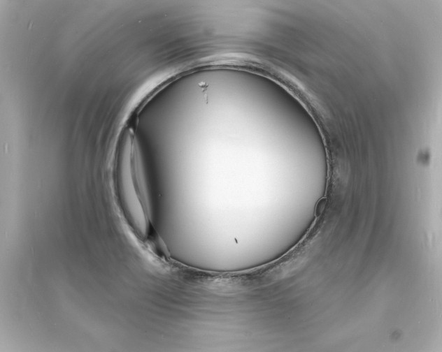 X0000093601418200711121138