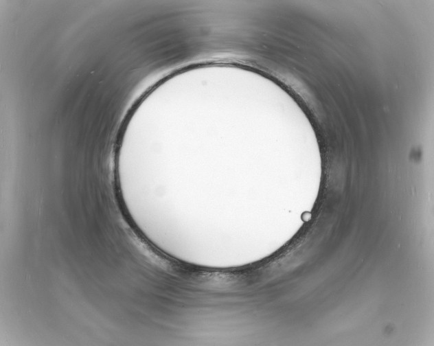 X0000093601420200711121138