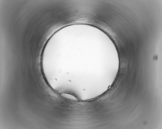 X0000093601423200711121138