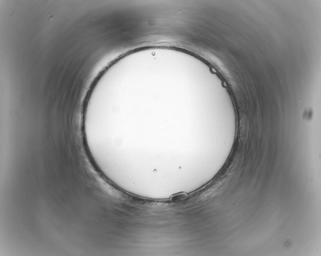 X0000093601424200711121138