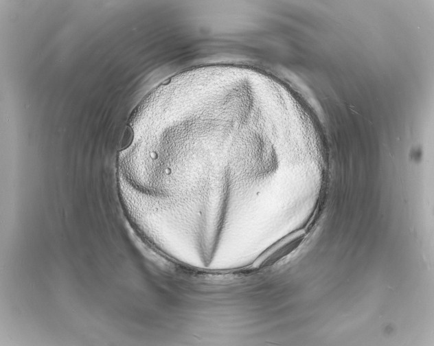 X0000093601425200711121138