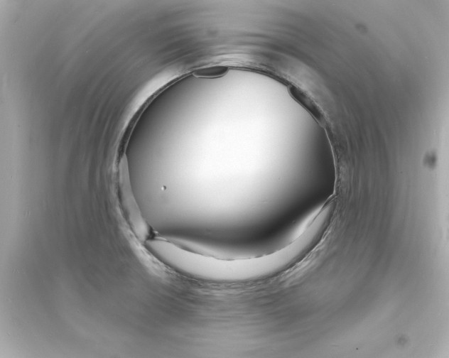 X0000093601426200711121138