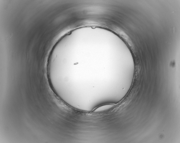 X0000093601427200711121138