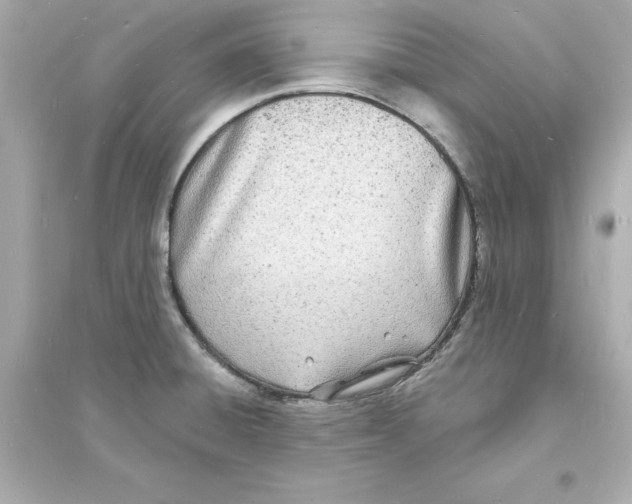 X0000093601428200711121138