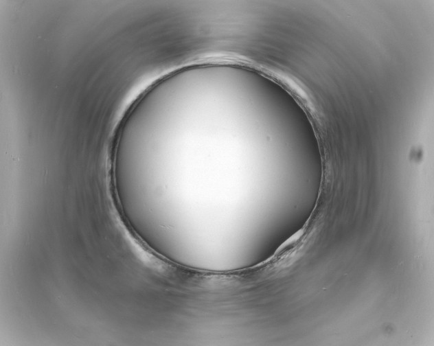 X0000093601430200711121138