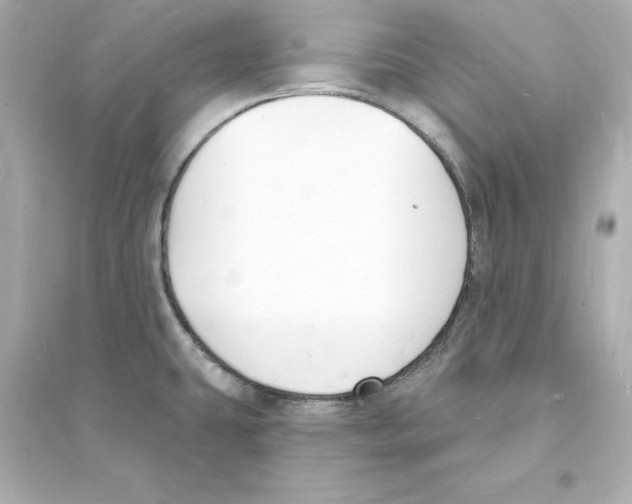 X0000093601431200711121138