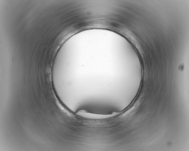 X0000093601433200711121138