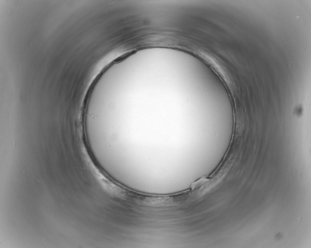 X0000093601434200711121138