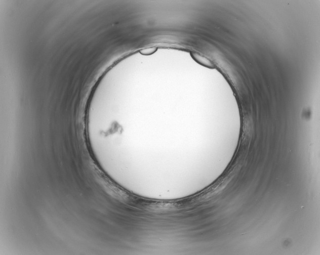 X0000093601435200711121138