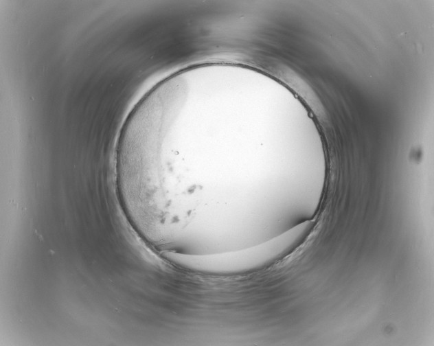 X0000093601436200711121138