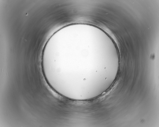 X0000093601437200711121138