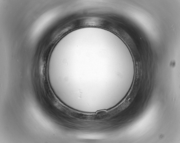 X0000093601438200711121138