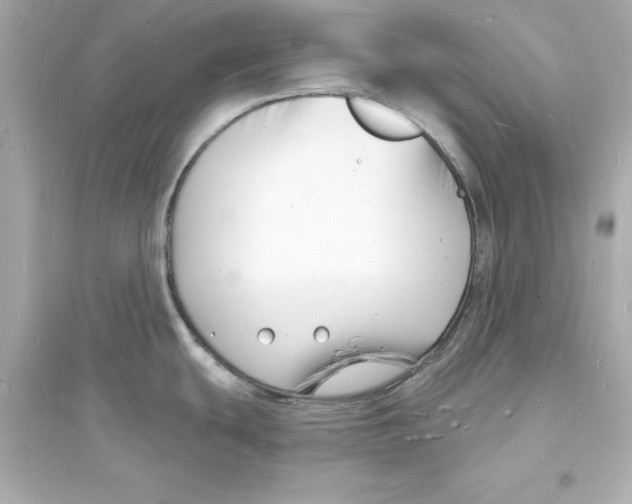 X0000093601439200711121138