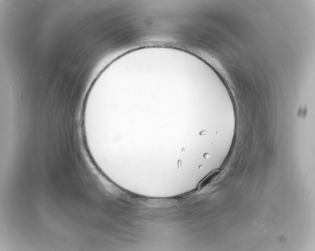 X0000093601440200711121138