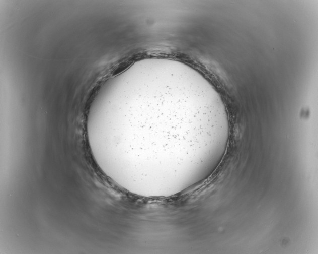 X0000093601445200711121137