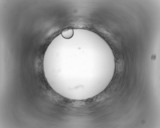 X0000093601446200711121137