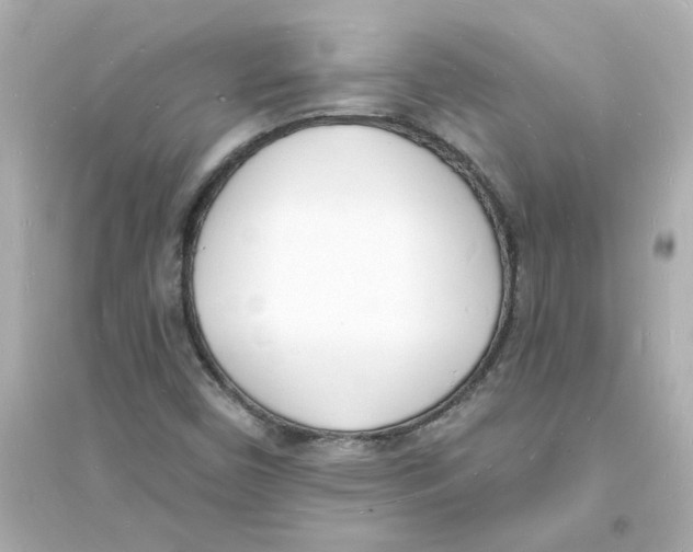 X0000093601450200711121137