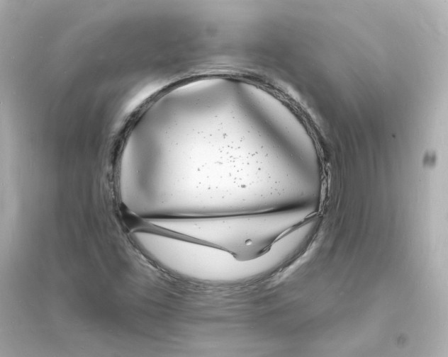 X0000093601453200711121137