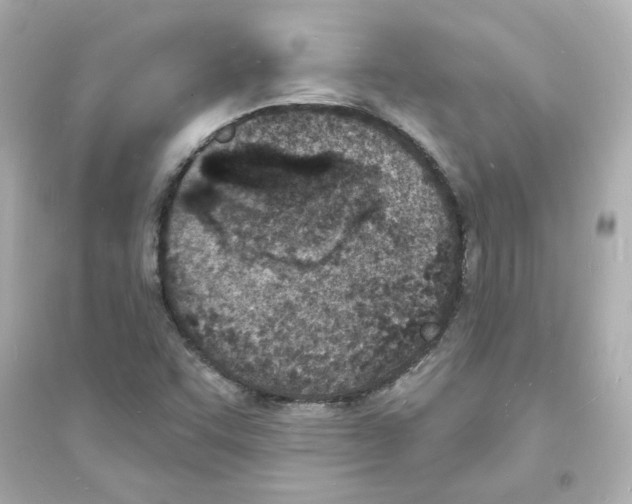 X0000093601455200711121137